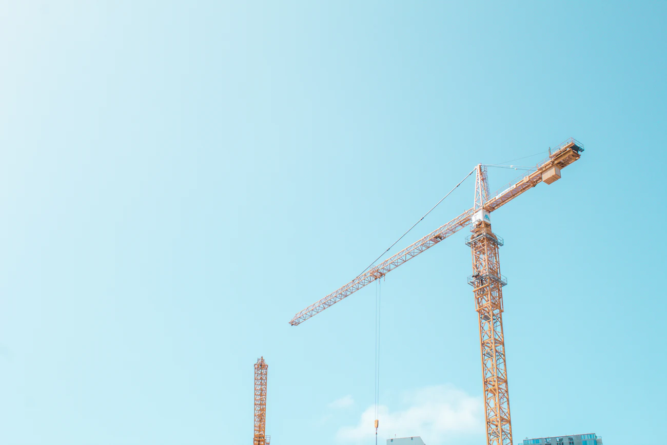 Crane against the Sky